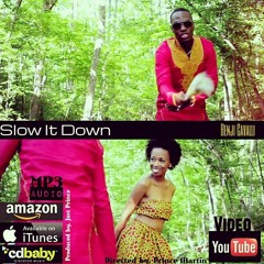 Slow It Down By: Benji Cavalli