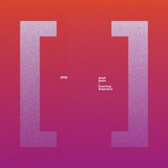 Scanning Antarctica - Dissimulate