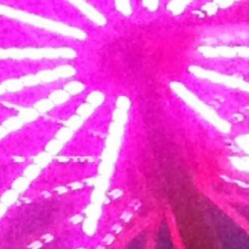 starwalking (fugmix)