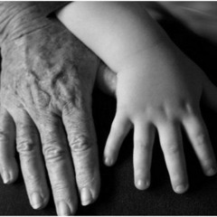 Car Bumper Sticker - Clint Bruder