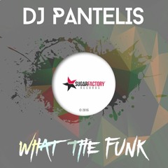 DJ Pantelis - What The Funk (Original Mix)