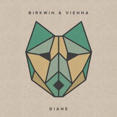 BIRKWIN & VIENNA - We Still Don't Go To Dances
