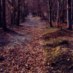 Before I'm Covered (demo)