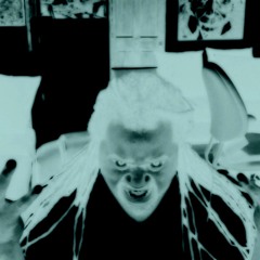 Roe Ft Wacka Flocka - How You Feelin  REMIX_Leviticus Black