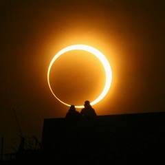 We Were Only Walking In Circles Because We Knew The Way