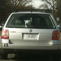 Spy Music 2 - Shit Just Got Real