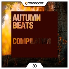 [Datagroove Music] Okabi & Darkrow - Number One