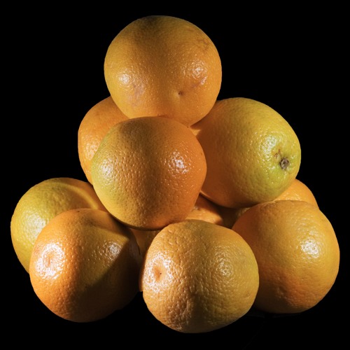 #TSOT (The Structure Of Truth) --- SynTalk