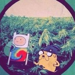 Area11 - Fucked Up !