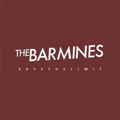 The Barmines - Sky's The Limit