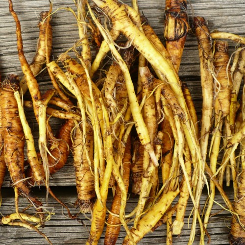 Restless Leg Syndrome and Herbal Therapeutics