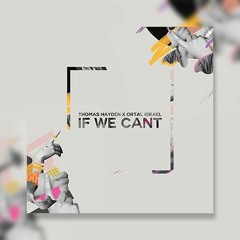 Thomas Hayden & Ortal Israel - If We Can't (Original Mix)