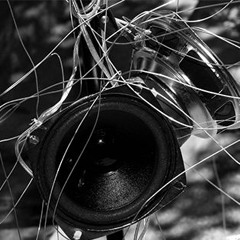 Arboleda. violín y electroacústica