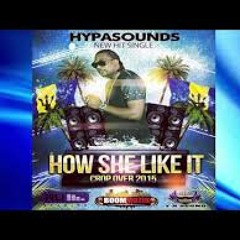 Hypasound How She Like It [DJ  Magnet x Shot Master J]