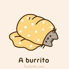 Burrito Of Happiness Ft Kitty Kat's! Yushhhh n.n