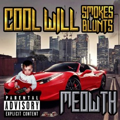 Cool Will Smokes Blunts