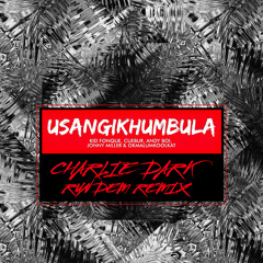 Kid Fonque Cuebur AndyBoi Jonny Miller & Okmalumkoolkat - Usangikhumbula(Charlie Dark Run Dem Remix)