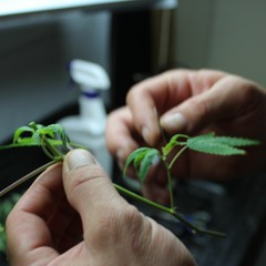 Buckets Hip Hop Jernt