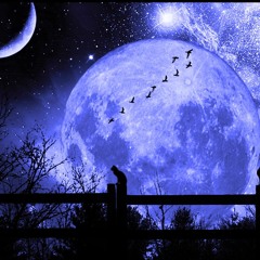 PHEX - BLUE MOON WHITE SKY (CLIP)