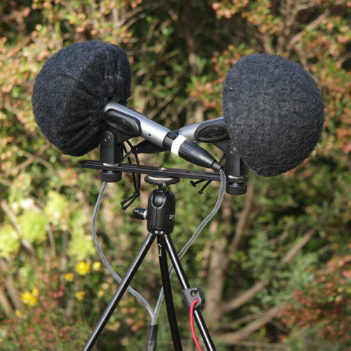 Stream Comparison of field microphone arrays SASS vs Isobinaural by