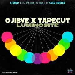 ojibve x tapecut – luminosité (dirty version)