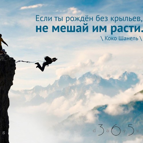 Цитата о крыльях