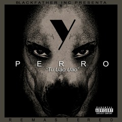 Perro (Tu Uao Uao)