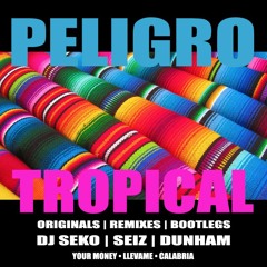 Your Money (DJ Seko Tropical RMX)