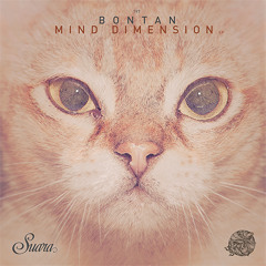 [Suara 197] Bontan - Reality (Original Mix) Snippet