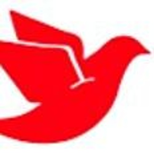 Colloque L Homme La Societe La Paix Interview Dr Alexandra Henrion Caude By Radio Maria France