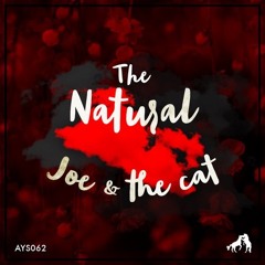 One Night in Rosendal (Original Mix)  /  Agua y Sed