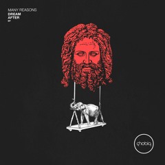 Many Reasons - Phonica