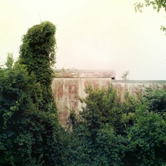 Devolution (feat. MrChampygnon)