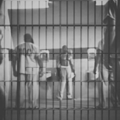 BRIMLOE - LIFE IN A CELL