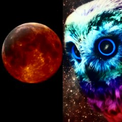 Spor - Full Colour