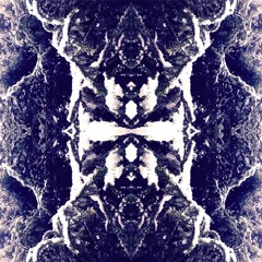 Forest Entities