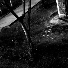 Sacrificial Sounds - Elegiac - Dormant Seed Split - 08 Dormant Seed - The World Without Us (Side B)