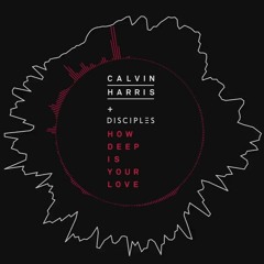 Calvin Harris & Disciples - How Deep Is Your Love (Willerz bootleg)
