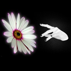 WEEK 41 / BEAT 50 : MRBB02