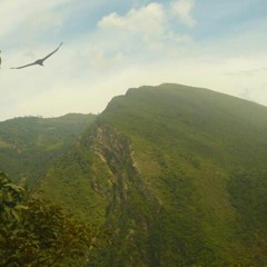 House - Montaña Electrica - Algaraban Dj Edward.ogg