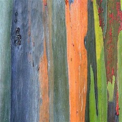 fallloop