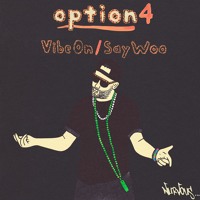 option4 - Vibe On