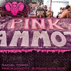 Rachel Torro - Pink Mammoth - Burning Man 2015