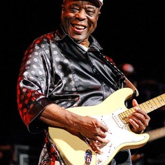 Sweet Home Chicago - with Tom Adams / guitar