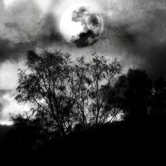 Stygle - Tamsioji mėnulio pusė