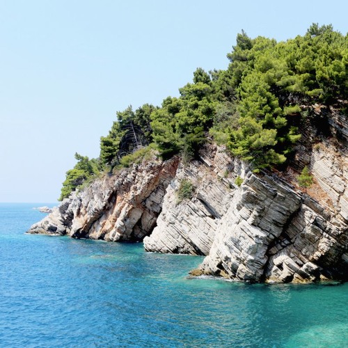 Don't Want Ft. Eduard Bogdan