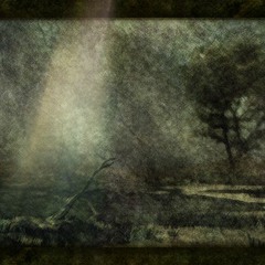 広がる荒野 （途中）