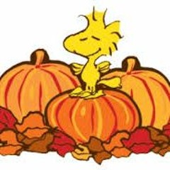 OCT