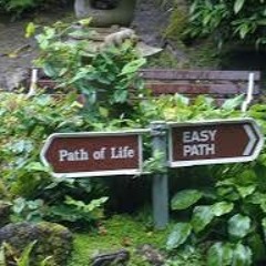 Paths Of Life