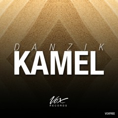 Danzik - Kamel (Original Mix) [Free Release]